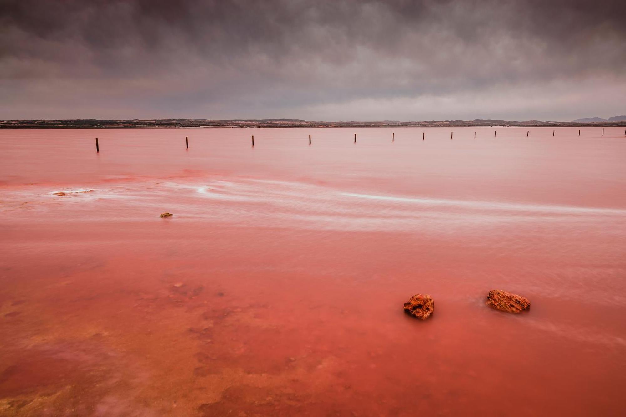 Mar Azul Torreviejaアパートメント エクステリア 写真